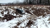 Трофи-лайф фото 4х4 покатушка Рогачевские Сокровища  08.02.2025 - (6).jpg