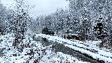 Трофи-лайф фото 4х4 покатушка Можайские Тропы 15.11.2025 - (22).jpg