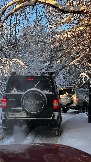 IMG_3612.JPG
