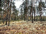 IMG_5677.JPG