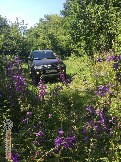 Фото Трофи-лайф 4х4 покатушка-экспедиция Верхний Дон -- (21).jpg