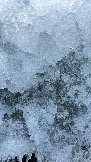 0B484EA5-5E71-4E65-97EF-C5EA2B99299B.jpeg
