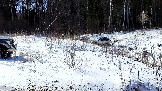 Трофи-лайф фото 4х4 покатушка Рогачёвские Сокровища 12.04.2025 - (82).jpg