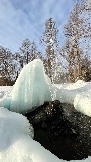 IMG_8007.jpg