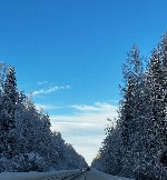 IMG_2746.JPG