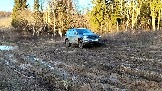 Трофи-лайф фото 4х4 покатушка Дмитровская Игрушка 08.03.2025 - (124).jpg