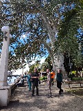 2026-05-07 12-29-03.JPG