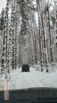 Фото Трофи-лайф 4х4 покатушка Мещерские Скитания 04.01.22 - 147.jpg