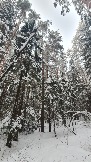 20231209_151349.jpg