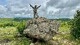 IMG_1253.jpg