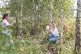 LKV_1528.JPG