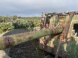 IMG_9403.jpeg