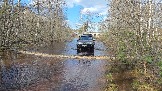 20260502_152623.jpg