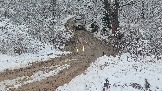 20251115_124140.jpg