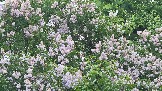 20260530_200710.jpg