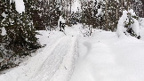 Трофи-лайф фото 4х4 покатушка Каширский Зигзаг 07.02.2026 - (81).jpg
