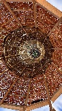 IMG_1460.jpg