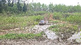 20260510_141245.jpg