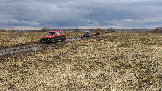 Трофи-лайф фото 4х4 покатушка Ступинский Крюк 18.04.2026 - 35.jpg