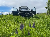 IMG_8766.JPG