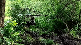 Трофи-лайф фото 4х4 покатушка Лабиринты Купавны 23.05.2026 - 028.png