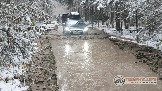 Фото Трофи-лайф 4х4 покатушка Новоистринские Просеки 28.10.23 - 366.jpg
