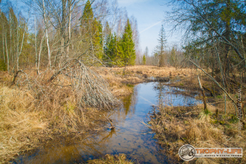 2020-03-28-kubrinsk-30.jpg