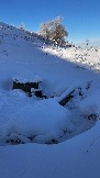 IMG_2717.JPG
