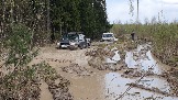 20250426_124524.jpg