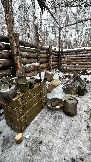 IMG_1224.jpg