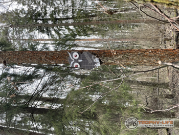 Фото Трофи-лайф 4х4 покатушка Кудыкина Гора 23.04.22 - 136.JPG