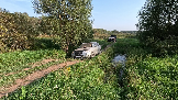 Трофи-лайф фото 4х4 Школа около Чехова 01.09.2024 -  (80).png