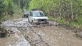 20260510_120614.jpg