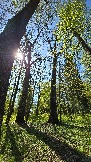 20250503_103334.jpg