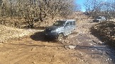 20250308_114658.jpg