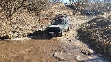 20250308_114705.jpg
