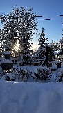 IMG_3690.JPG