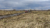 Трофи-лайф фото 4х4 покатушка Ступинский Крюк 18.04.2026 - 32.jpg
