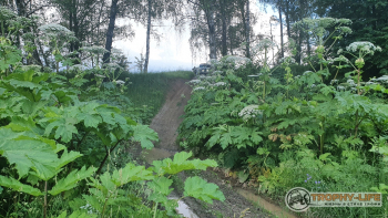 Трофи-лайф Каширское бездорожье 01.07.2020 - 67.jpg