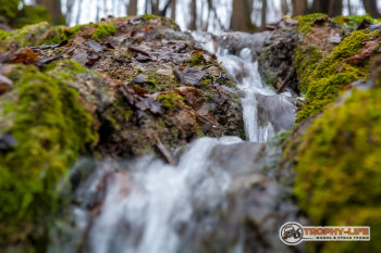 _MG_8387.jpg