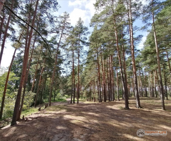 Фото Трофи-лайф 4х4 покатушка Покровский Пряник 04.09.21 - 273.jpg