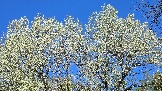 20250503_112208.jpg