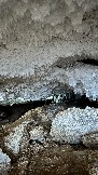 0ABFC409-AEAE-4B87-BC65-2EF5948CF7A1.jpeg