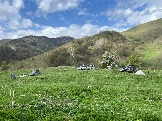 IMG_8579.JPEG