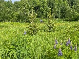 IMG_8759.JPG