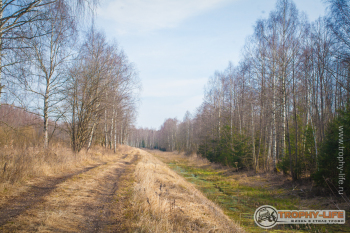 2020-03-28-kubrinsk-1.jpg