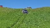 20260606_132235.jpg