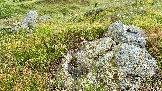 IMG_1210.jpg