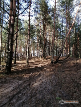 Фото Трофи-лайф 4х4 покатушка Покровский Пряник 04.09.21 - 338.jpg