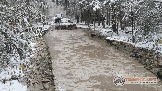 Фото Трофи-лайф 4х4 покатушка Новоистринские Просеки 28.10.23 - 349.jpg